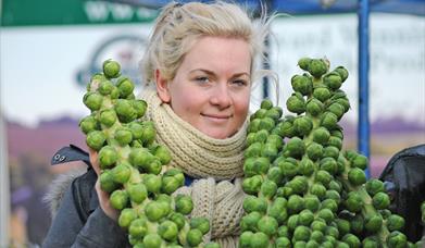 A woman holding 2 fresh brussel sprout stalks from W Clappison & Sons, near Beverley, East Yorkshire