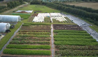 An image of Frith Farm